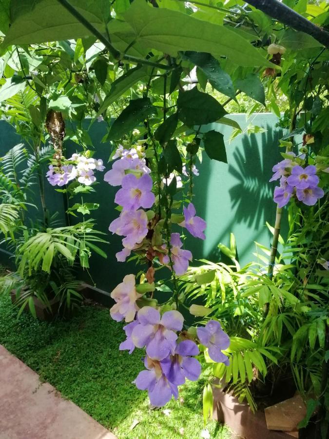Hotel Heaven In Satinwoods Tangalle Exterior foto